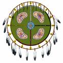 native-american_medicine_wheel